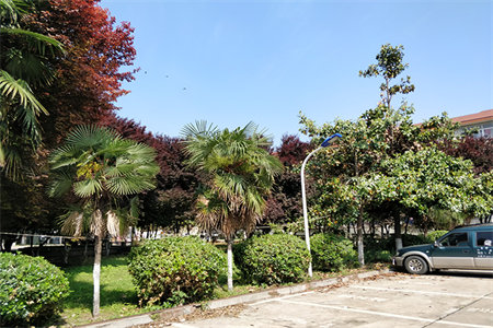 密州府东名邸3室2厅1卫146万138m2出售